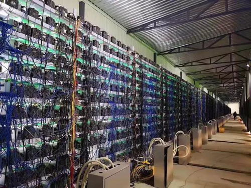 A thriving mining farm setup