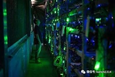 A large solar panel array powering a cryptocurrency mining farm